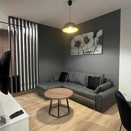 Διαμέρισμα Hallera Pleszew